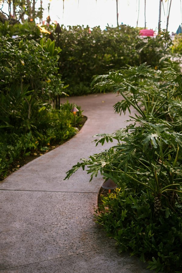 What are the best materials for a low-maintenance garden path in a suburban area of Surrey?